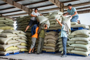 高效搬运服务 人工装卸、设备搬运与工厂搬迁一体化解决方案